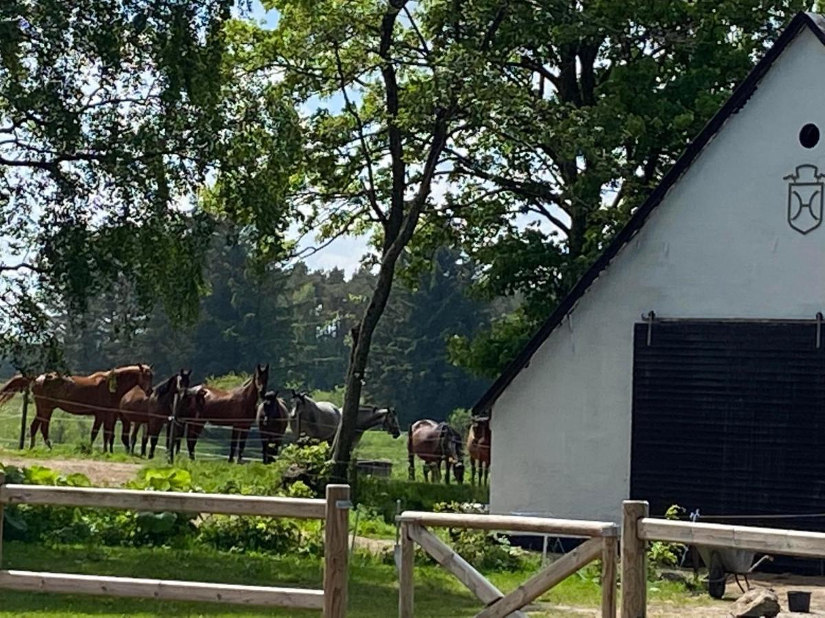 Bondehus - Dansk Bondehus Med Patina Villa Sindal Exterior foto